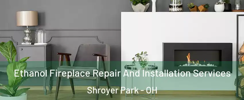 Ethanol Fireplace Repair And Installation Services Shroyer Park - OH