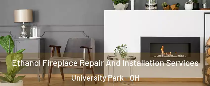 Ethanol Fireplace Repair And Installation Services University Park - OH