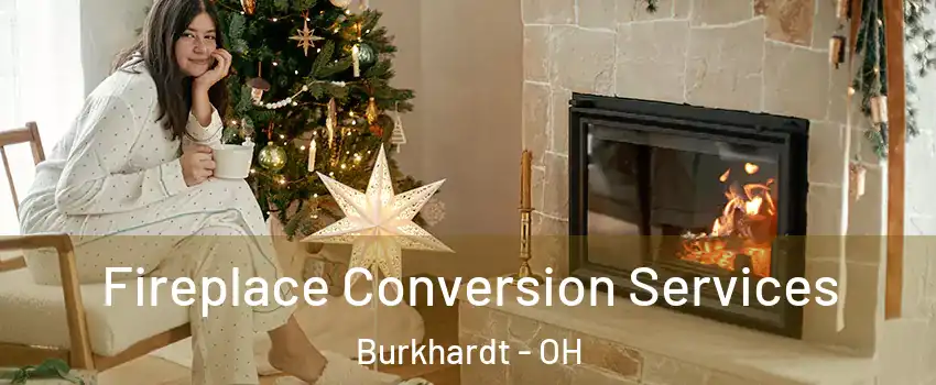 Fireplace Conversion Services Burkhardt - OH