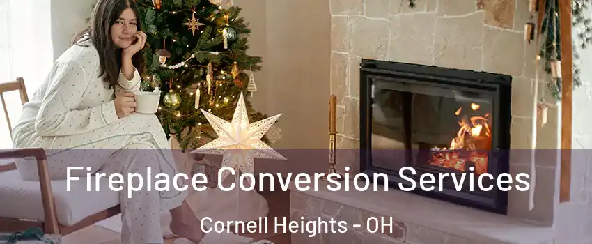 Fireplace Conversion Services Cornell Heights - OH
