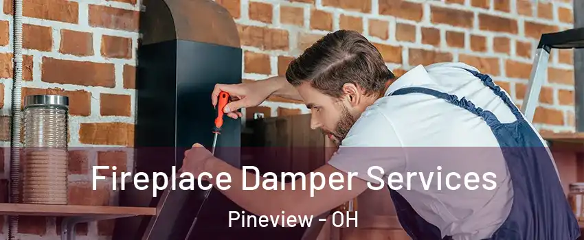 Fireplace Damper Services Pineview - OH