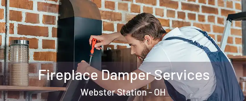 Fireplace Damper Services Webster Station - OH