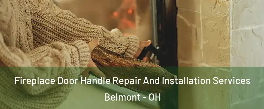 Fireplace Door Handle Repair And Installation Services Belmont - OH