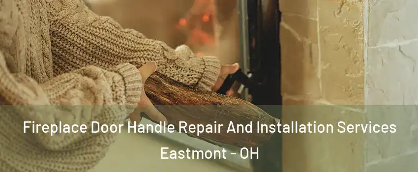 Fireplace Door Handle Repair And Installation Services Eastmont - OH