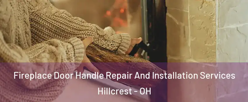 Fireplace Door Handle Repair And Installation Services Hillcrest - OH