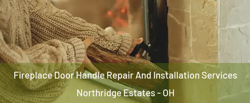 Fireplace Door Handle Repair And Installation Services Northridge Estates - OH