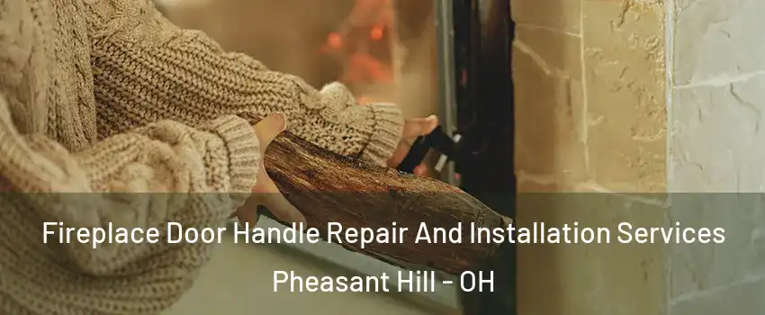 Fireplace Door Handle Repair And Installation Services Pheasant Hill - OH