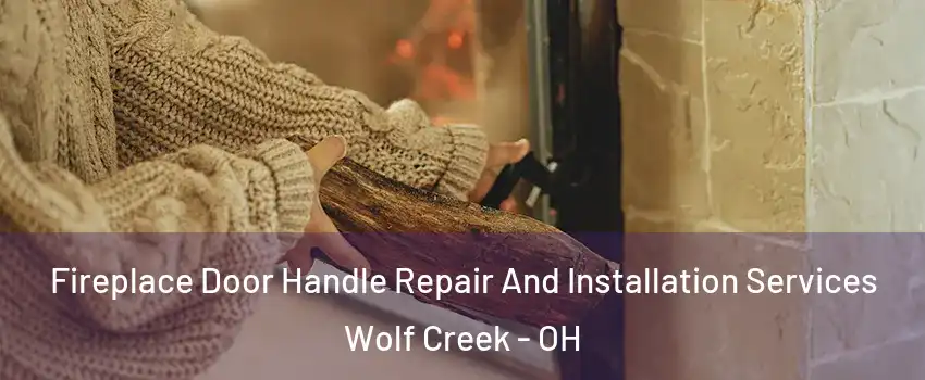 Fireplace Door Handle Repair And Installation Services Wolf Creek - OH