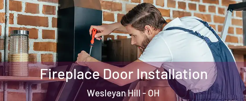 Fireplace Door Installation Wesleyan Hill - OH
