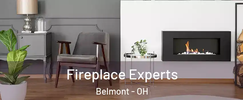 Fireplace Experts Belmont - OH