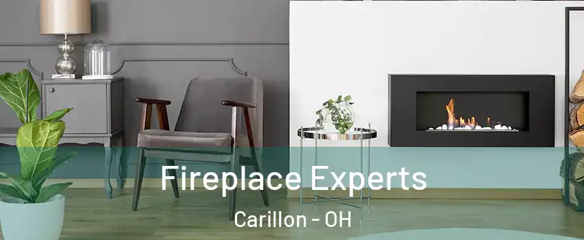 Fireplace Experts Carillon - OH