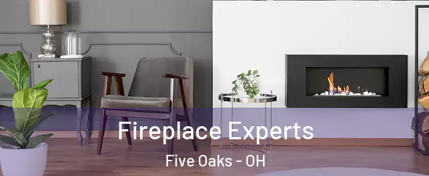 Fireplace Experts Five Oaks - OH
