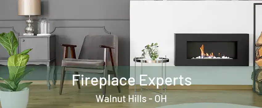Fireplace Experts Walnut Hills - OH