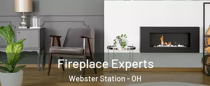 Fireplace Experts Webster Station - OH
