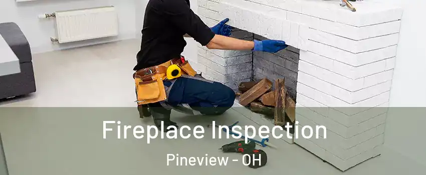 Fireplace Inspection Pineview - OH