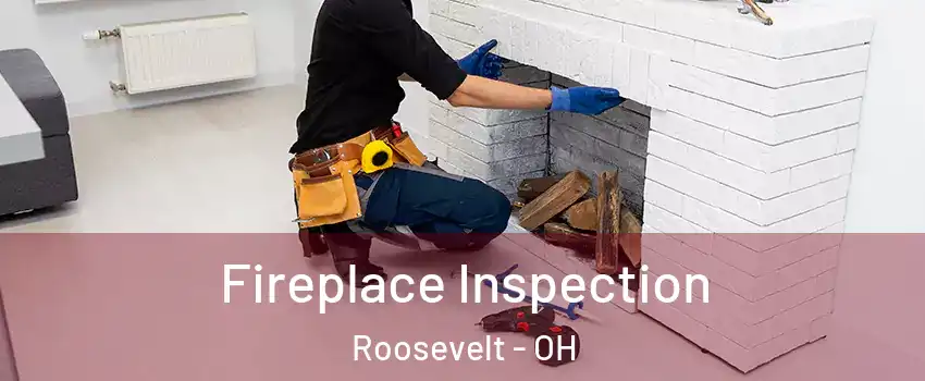 Fireplace Inspection Roosevelt - OH
