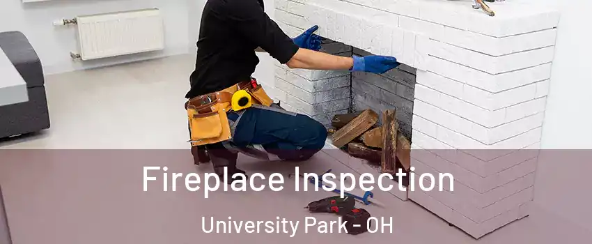 Fireplace Inspection University Park - OH