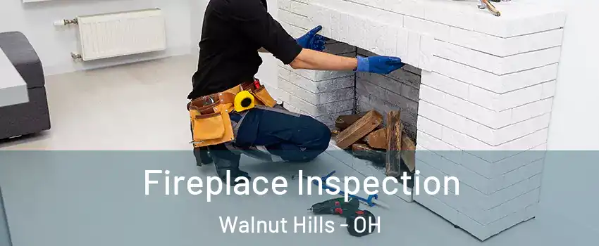 Fireplace Inspection Walnut Hills - OH