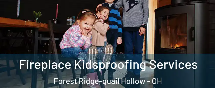 Fireplace Kidsproofing Services Forest Ridge-quail Hollow - OH