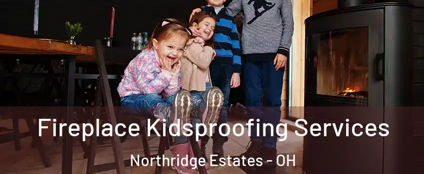 Fireplace Kidsproofing Services Northridge Estates - OH