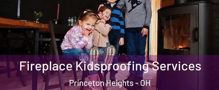 Fireplace Kidsproofing Services Princeton Heights - OH