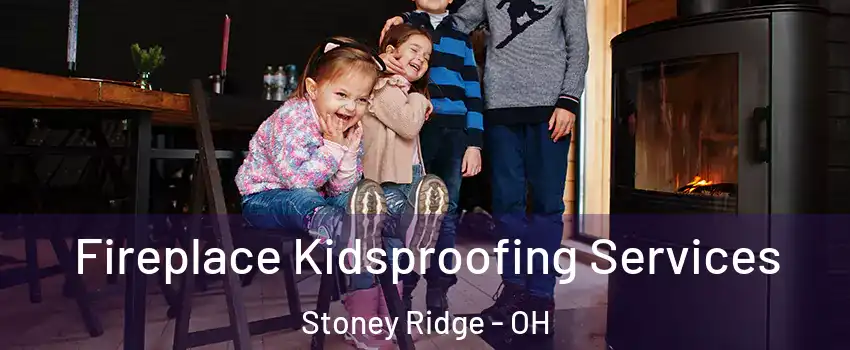 Fireplace Kidsproofing Services Stoney Ridge - OH