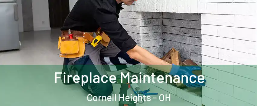 Fireplace Maintenance Cornell Heights - OH