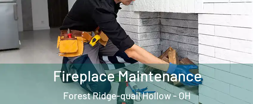 Fireplace Maintenance Forest Ridge-quail Hollow - OH