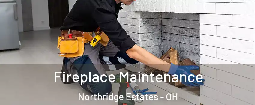 Fireplace Maintenance Northridge Estates - OH