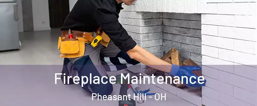 Fireplace Maintenance Pheasant Hill - OH