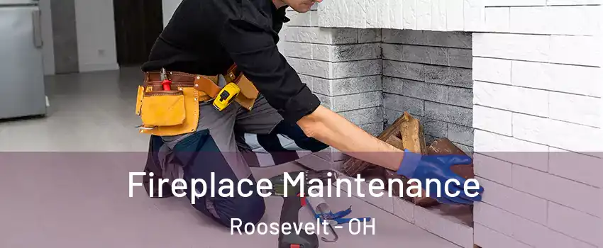 Fireplace Maintenance Roosevelt - OH