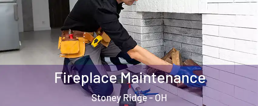 Fireplace Maintenance Stoney Ridge - OH