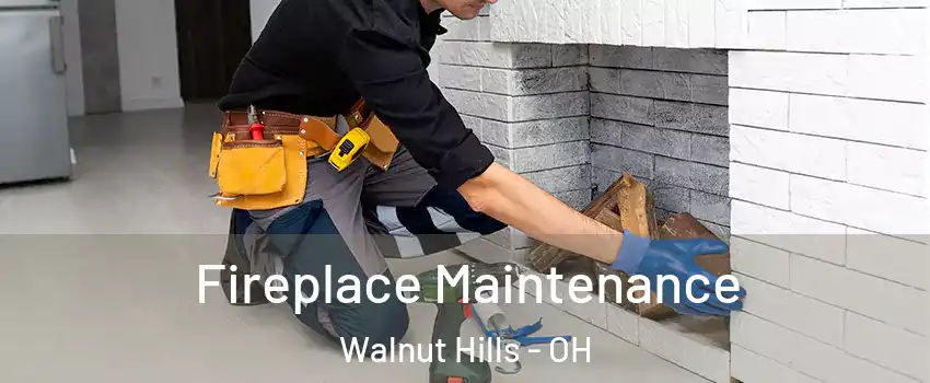 Fireplace Maintenance Walnut Hills - OH