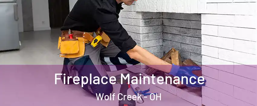 Fireplace Maintenance Wolf Creek - OH
