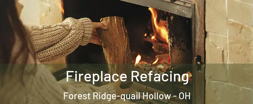 Fireplace Refacing Forest Ridge-quail Hollow - OH