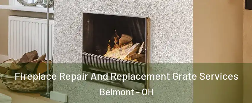 Fireplace Repair And Replacement Grate Services Belmont - OH