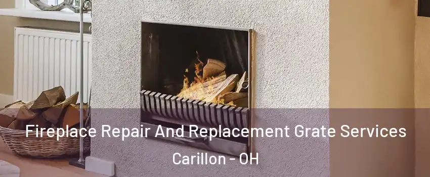Fireplace Repair And Replacement Grate Services Carillon - OH