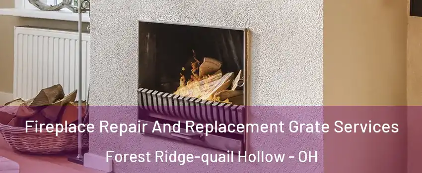 Fireplace Repair And Replacement Grate Services Forest Ridge-quail Hollow - OH
