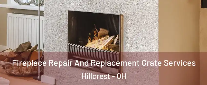 Fireplace Repair And Replacement Grate Services Hillcrest - OH