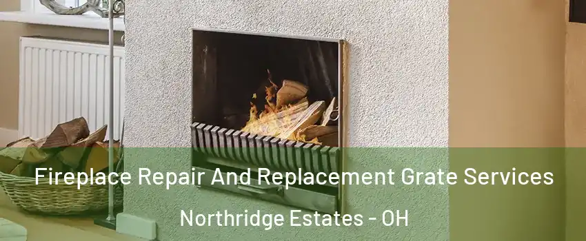 Fireplace Repair And Replacement Grate Services Northridge Estates - OH