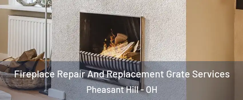 Fireplace Repair And Replacement Grate Services Pheasant Hill - OH