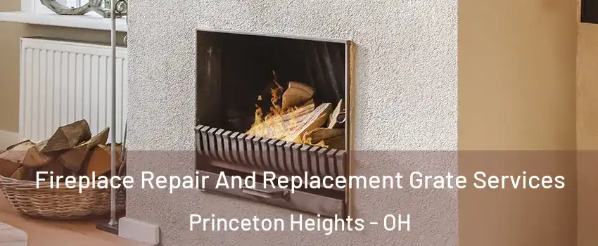 Fireplace Repair And Replacement Grate Services Princeton Heights - OH