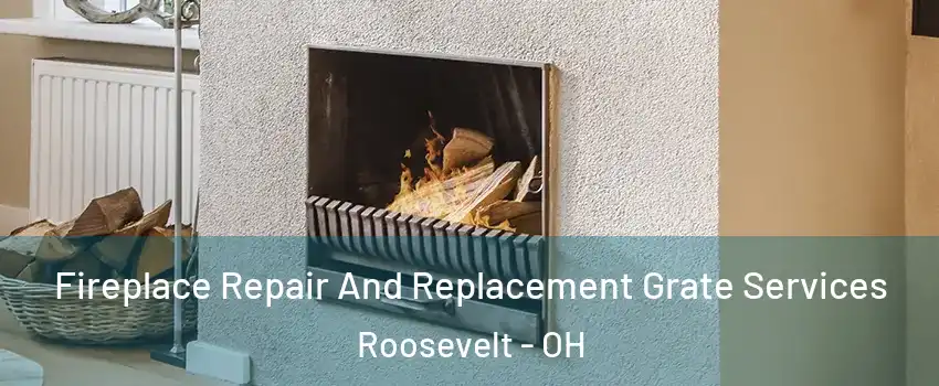 Fireplace Repair And Replacement Grate Services Roosevelt - OH