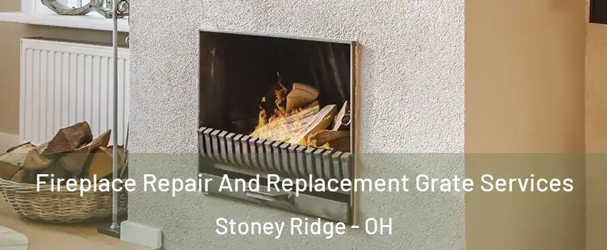 Fireplace Repair And Replacement Grate Services Stoney Ridge - OH