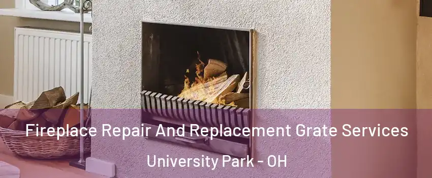 Fireplace Repair And Replacement Grate Services University Park - OH