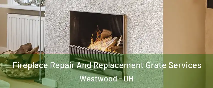 Fireplace Repair And Replacement Grate Services Westwood - OH