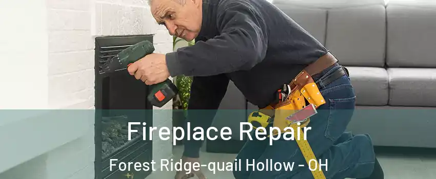 Fireplace Repair Forest Ridge-quail Hollow - OH