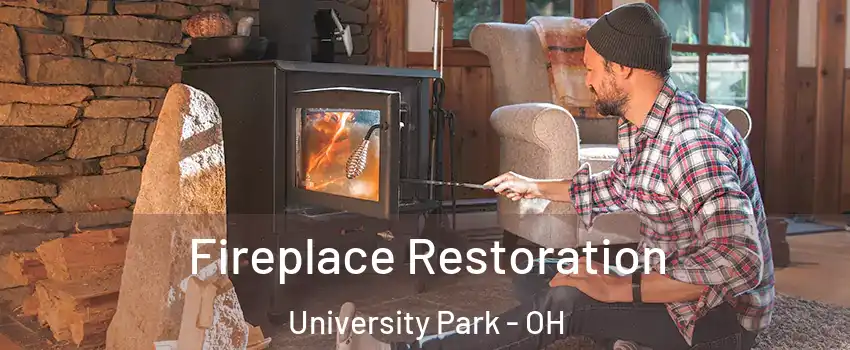 Fireplace Restoration University Park - OH