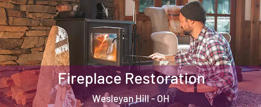 Fireplace Restoration Wesleyan Hill - OH