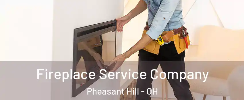 Fireplace Service Company Pheasant Hill - OH